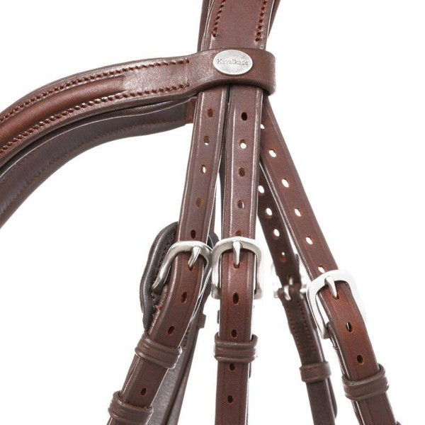 Ogłowie z nachrapnikiem hanowerskim Kavalkade Everana