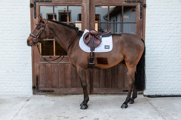 Czaprak wszechstronny Kentucky Horsewear Fishbone Competition