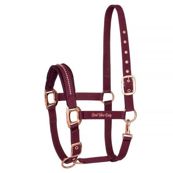 Kantar EQ.QUEEN Amsterdam