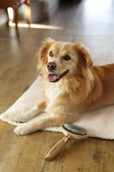 Szczotka do wyczesywania podszerstka Magic Brush