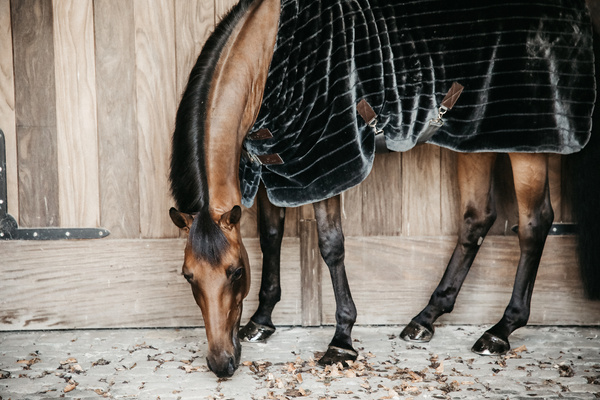 Derka stajenna Kentucky Horsewear Fake Fur - 400g