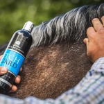 Balsam łagodzący świąd i podrażnienia skóry koni Carr & Day & Martin Itch Gard