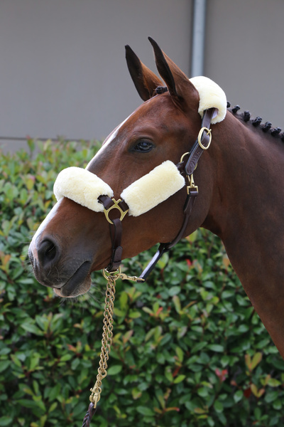 Zestaw futerek do kantara Kentucky Horsewear