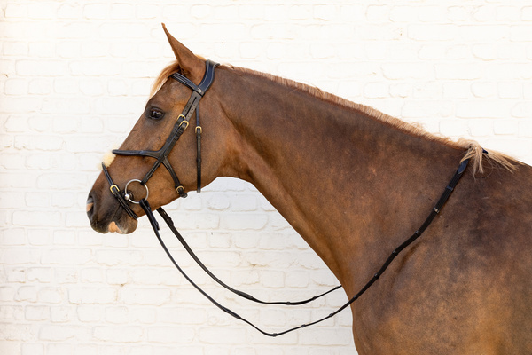 Ogłowie z nachrapnikiem meksykańskim Dy'on D Collection Plaited DYAOAV