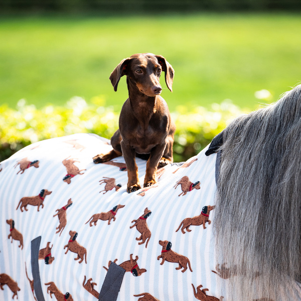 Derka polarowa QHP Stable buddy