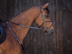 Wytok Riding World