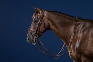 Ogłowie munsztukowe z nachrapnikiem angielskim Dy'on US Collection USLAAA