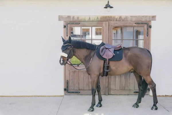 Czaprak skokowy Kentucky Horsewear Metal Chain