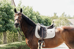 Czaprak ujeżdżeniowy Kentucky Horsewear Pied De Poule