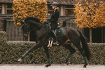 Czaprak ujeżdżeniowy Kentucky Horsewear Velvet Pearls
