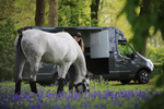 Podkładki stajenno-transportowe pod owijki Kentucky Horsewear