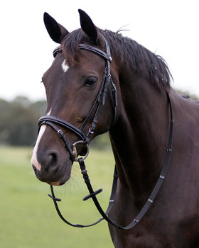 Ogłowie z nachrapnikiem kombinowanym QHP Luxury