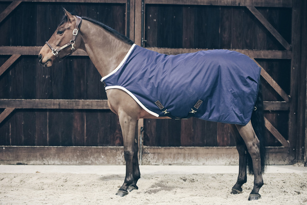 Kantar anatomiczny Kentucky Horsewear Anatomic Leather Halter