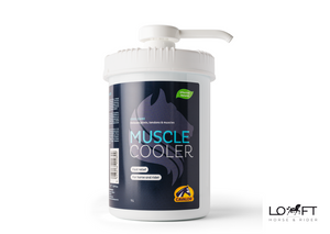 Żel chłodzący wspomagający regenerację mięśni i ścięgien Cavalor Muscle Cooler