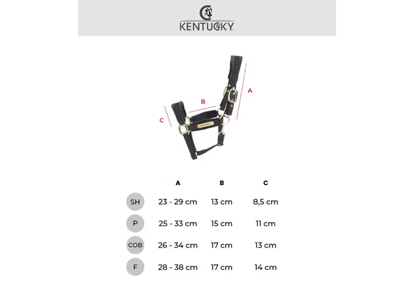 Kantar Kentucky Horsewear