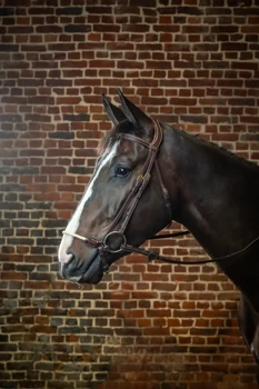 Ogłowie ze sznurkowym nachrapnikiem hanowerskim Dy'on D Collection DYAAAG