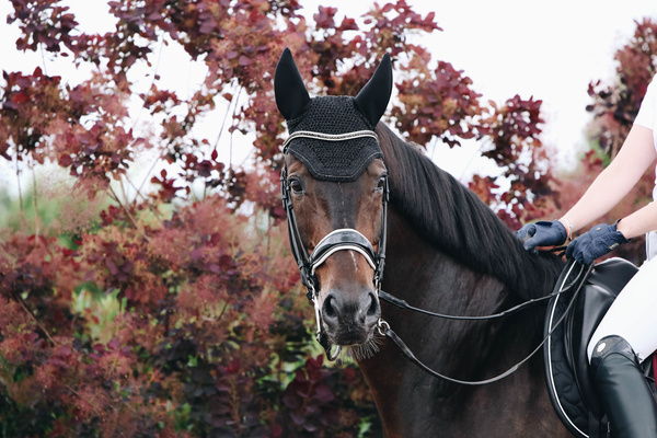 Nauszniki klasyczne Kentucky Horsewear Wellington Sparkling