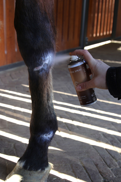 Cynk z sprayu Grooming Deluxe