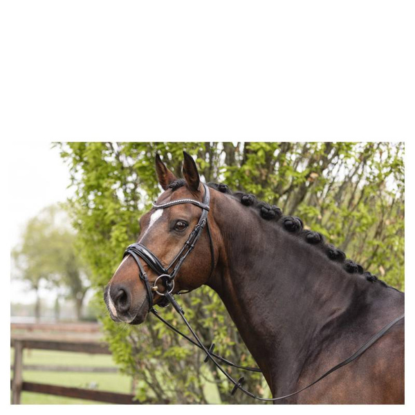 Ogłowie anatomiczne z lakierowanym nachrapnikiem szwedzkim ANKY®