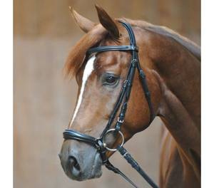 Ogłowie z nachrapnikiem hanowerskim Kavalkade Lina