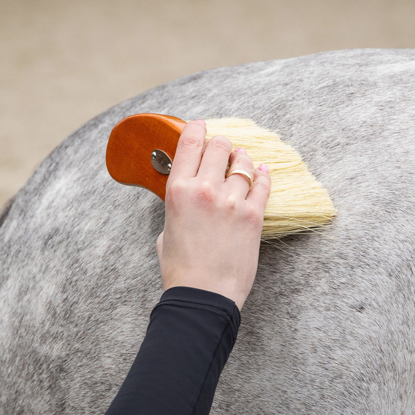 Zestaw do czyszczenia konia QHP Royal