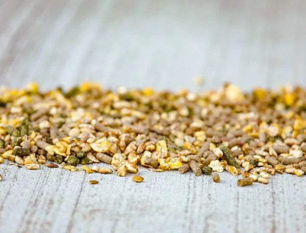 Pasza dla klaczy źrebnych i karmiących oraz źrebiąt Cavalor Probreed Mix 20kg