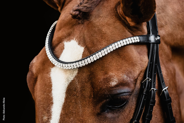 Ogłowie z nachrapnikiem szwedzkim Schockemöhle Sports Valencia