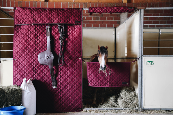 Bramka na boks Kentucky Horsewear Stable Guard