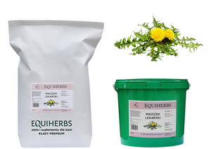 Mniszek lekarski EQUIHERBS