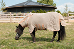 Derka siatkowa przeciw owadom z kapturem dla kucyków Kentucky Horsewear Mesh Fly Rug Comfort