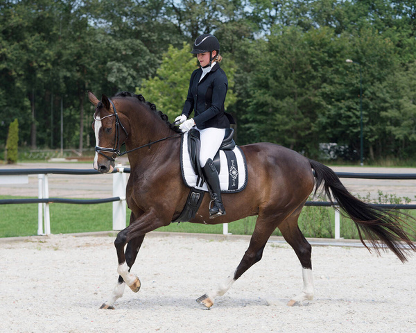 Frak damski QHP Novèn