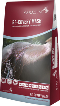 Bananowy mesz z dodatkiem elektrolitów SARACEN Re - covery Mash 20kg