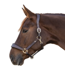 Kantar skórzany Waldhausen Anatomic