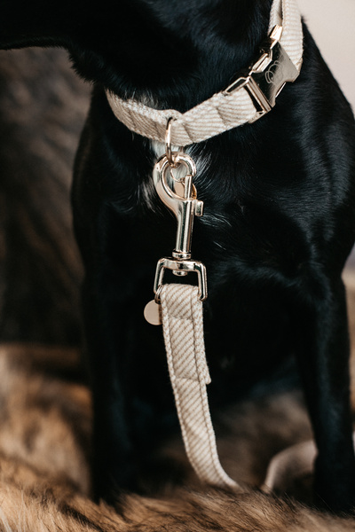 Obroża dla psa Kentucky Dogwear Wool