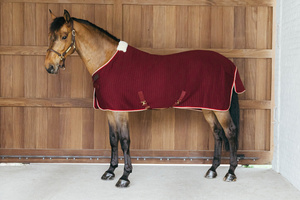 Derka osuszająco-termiczna dla konia Kentucky Horsewear Cooler Rug PROtherm