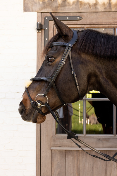 Ogłowie z nachrapnikiem meksykańskim Dy'on New EnglishCollection Plaited NEAOAV