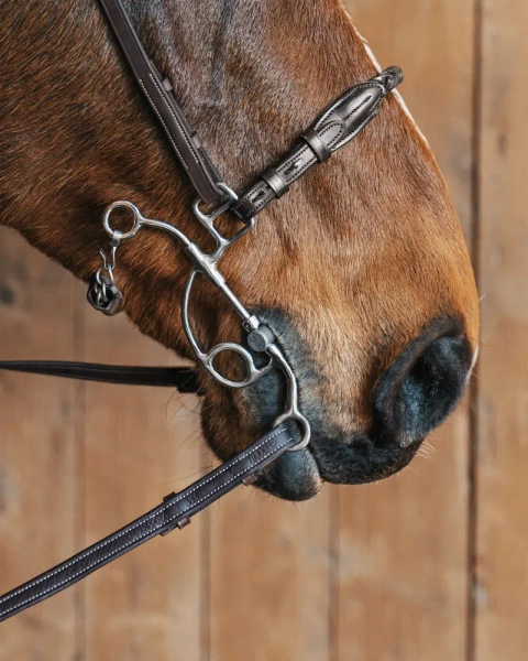 Pasek do wędzidła hackamore Fager Richard