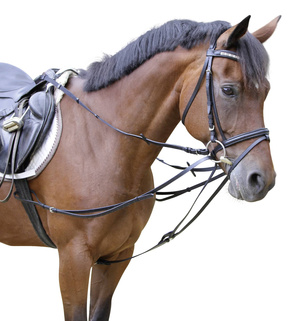 Wypinacze trójkątne Covalliero