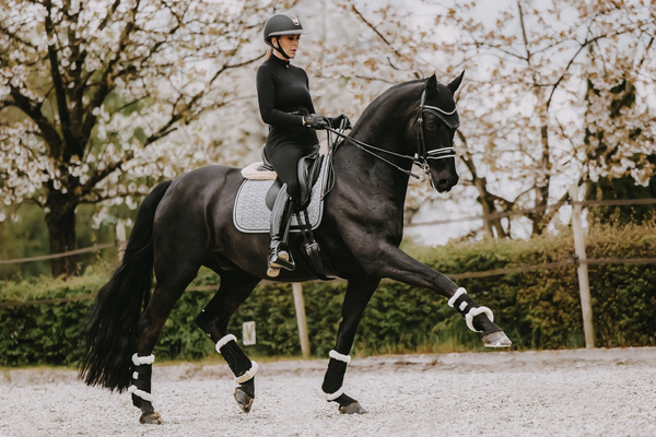 Czaprak ujeżdżeniowy Kentucky Horsewear Pied De Poule