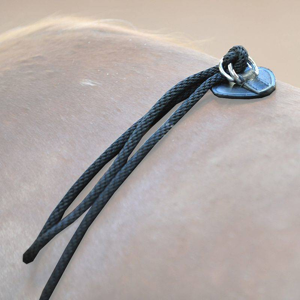 Pomoc do lonżowania Kavalkade HO