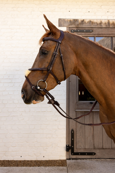 Ogłowie z nachrapnikiem meksykańskim Dy'on New EnglishCollection Plaited NEAOAV