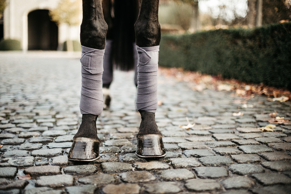 Owijki polarowe Kentucky Horsewear