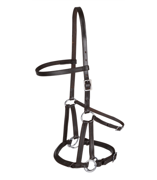 Ogłowie bezwędzidłowe Waldhausen Lindell