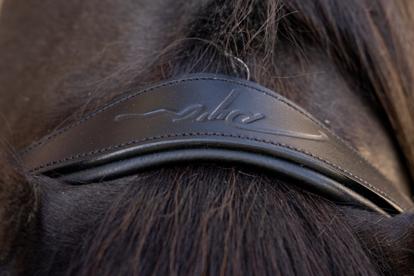 Ogłowie z nachrapnikiem meksykańskim Dy'on New EnglishCollection Plaited NEAOAV