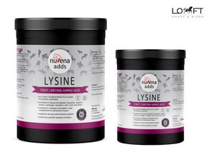 Lizyna dla koni NuVena Adds