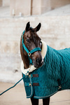 Kantar dla konia Kentucky Horsewear Velvet