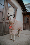Derka siatkowa przeciw owadom z kapturem dla kucyków Kentucky Horsewear Mesh Fly Rug Comfort