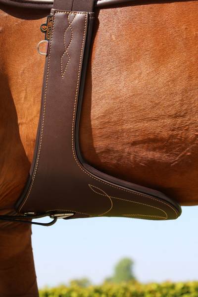Popręg z fartuchem Kentucky Horsewear