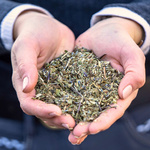 Mieszanka ziołowa na uspokojenie Stiefel