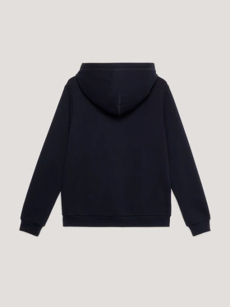 Bluza z kapturem TOMMY HILFIGER EQUESTRIAN Metallic Logo Graphic